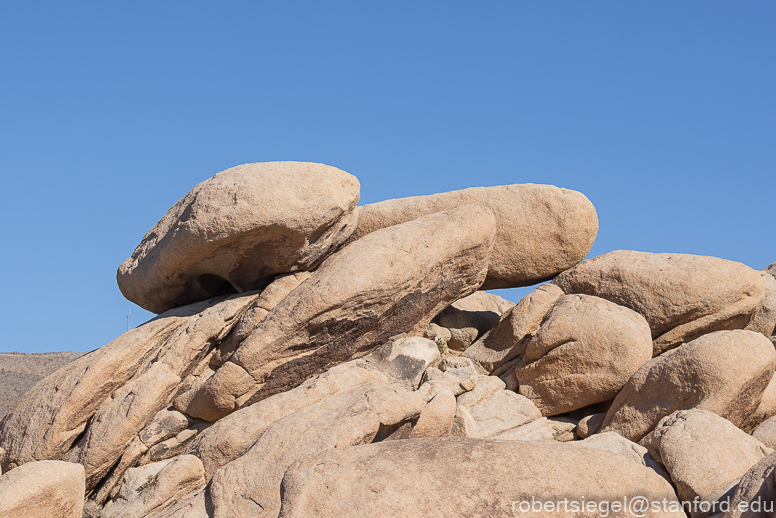 Joshua Tree